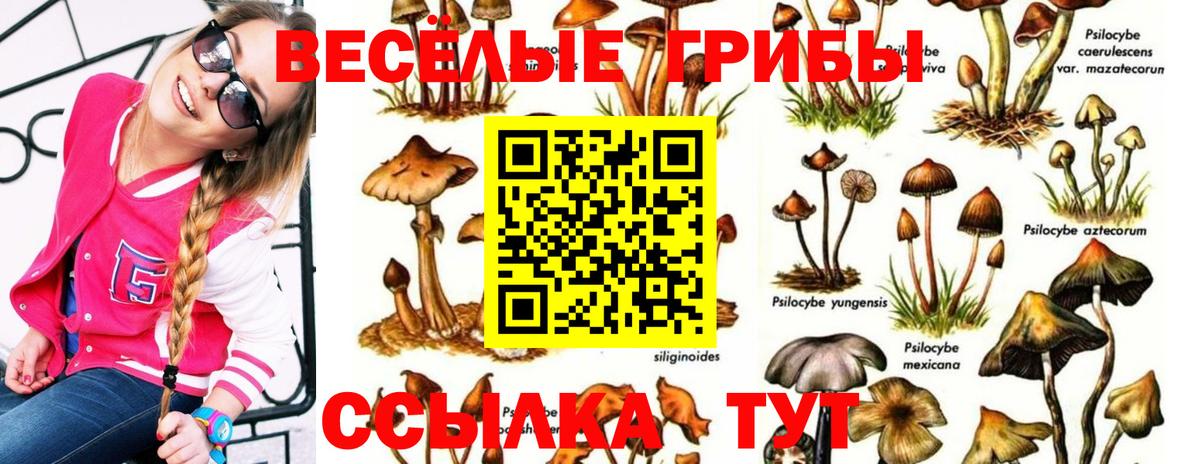 Галлюциногенные грибы прущие грибы Куйбышев