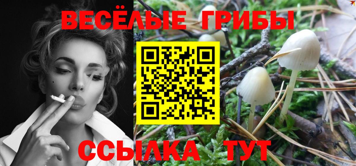 Куйбышев  Галлюциногенные грибы Psilocybe  Вход с VPN  Псилоцибиновые грибы Magic Shrooms 